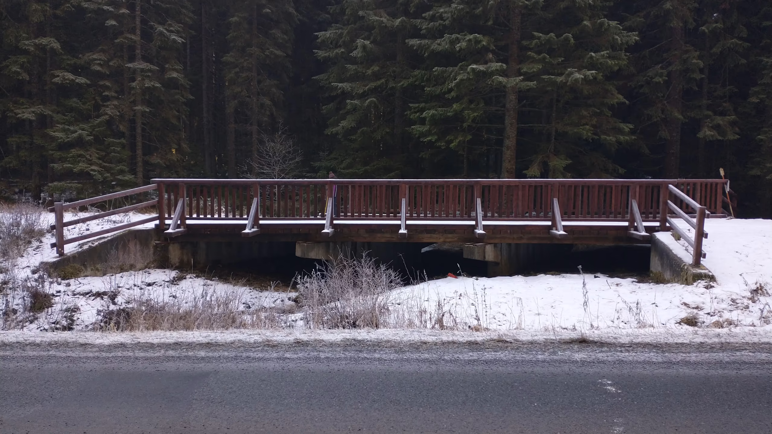 Lávky Národní park Šumava